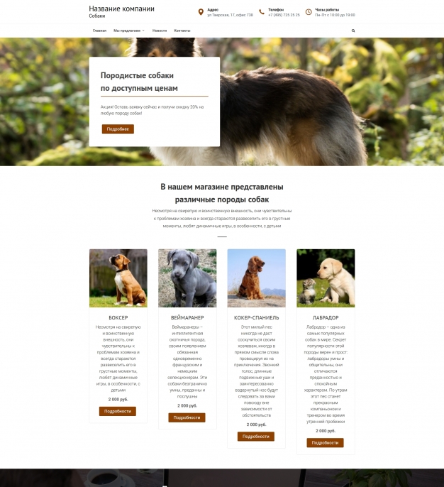 Создание сайтов по собакам способы seo продвижения сайтов